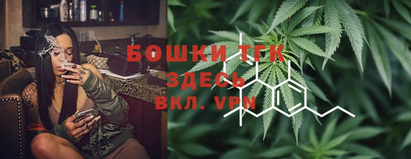 стаф Балахна