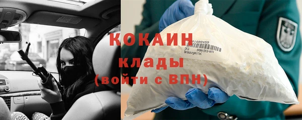 стаф Балахна