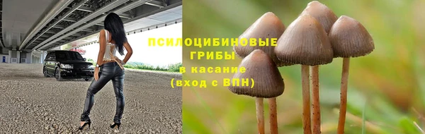 стаф Балахна