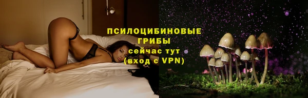 стаф Балахна