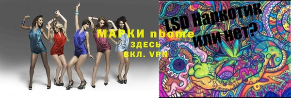 стаф Балахна